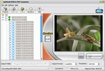 dvdXsoft DVD to PSP Converter