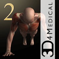 iMuscle 2 cho Android