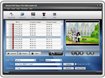 Nidesoft DVD Ripper 5.0
