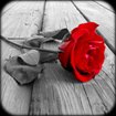 Photo Art cho Android